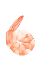 Shrimp - PNG Images