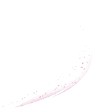 Purple Flower - plant - nature - High Resolution PNG