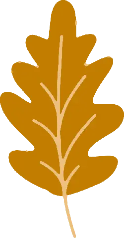 Oak Leaf - plant - PNG Images