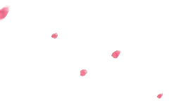Pink Petals - lightweight - High Resolution PNG