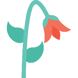 Flower - red - leaves - PNG Images