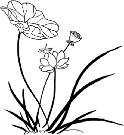 Highly Rated PNG - nocturnal - Black Owl - Pic 3