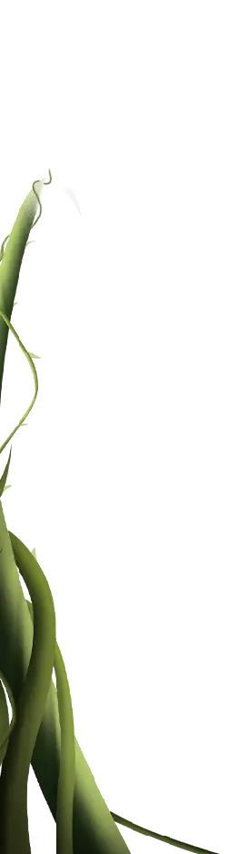 Vine - Free Download PNG