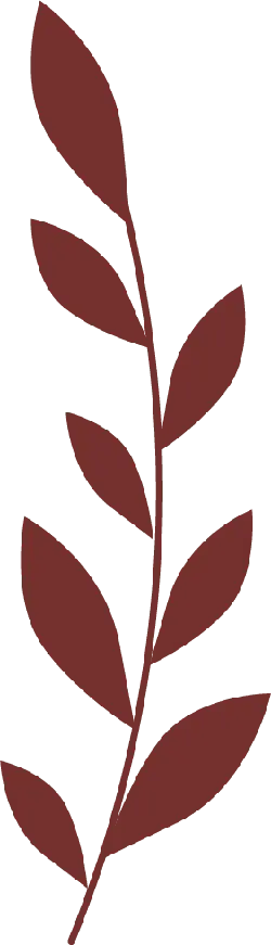 Brown Leaf Branch - plant - Lossless PNG