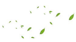 Leaves Falling - falling - background - PNG Images