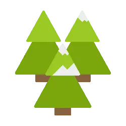 Cedar Tree - Trending PNG