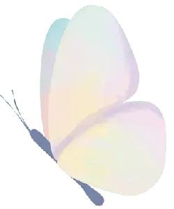 Butterfly - colorful - beautiful - Transparent Background PNG