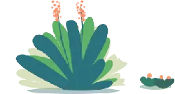 Aquatic Plant - flowers - Free Download PNG