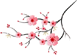beautiful - Cherry Blossom - Highly Rated PNG - Pic 1