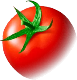 Tomato - vegetable - healthy - Free PNG