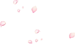 Pink Petals Falling - pink - falling - Lossless PNG