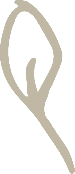 Q Symbol - letter - Transparent Layer PNG