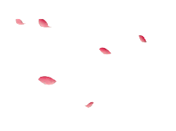 Pink Petals - pink - PNG Images