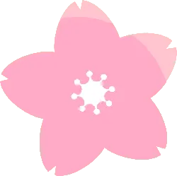 Cherry Blossom - flower - High Download Count PNG - Pic 1