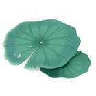 Lotus Leaf - nature - No Background PNG