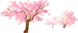 Cherry Blossom Tree - Curated PNG - Free PNG