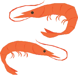 Shrimp - red - Transparent Background PNG