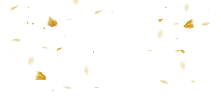 Golden Butterfly - colorful - Free PNG