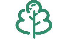 Tree - environmental protection - PNG Images