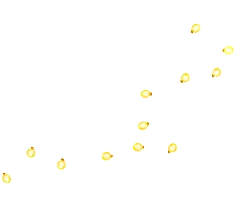 Stars in the Night Sky - night sky - celestial bodies - Transparent Layer PNG