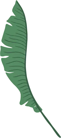 Banana Leaf - Designer Recommended PNG - green