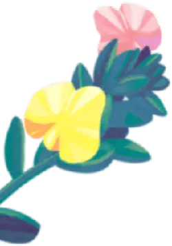 Three-colored Flower - plant - High Resolution PNG