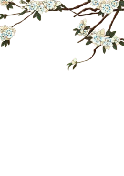 Plum Blossom Branch - spring - plant - PNG Images