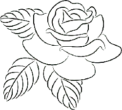 Rose - black background - Free Download PNG