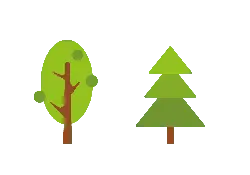 Tree and Pine Tree - growth - Transparent Background PNG