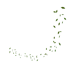 Leaves Falling - falling - Designer Recommended PNG