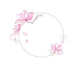 Pink Flower Decorative Circle - pink - Transparent Background PNG