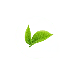 Leaf in Bubble - nature - Free Download PNG