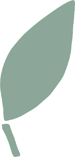Leaf - green - High Quality PNG