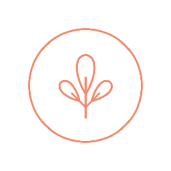 Clover - environmental protection - Curated PNG