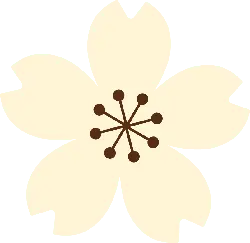 Cherry Blossom - Transparent Layer PNG - Free PNG