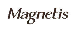 Magnetis - technology - No Background PNG