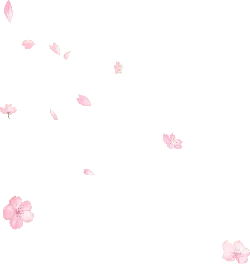 Pink Petals Falling - black - background - PNG Images