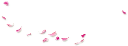 Pink Petals - romantic - PNG Images