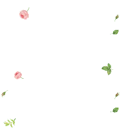 Pink Roses and Leaves - plant - High Resolution PNG