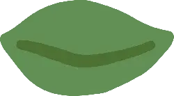 Green Leaf - leaf - PNG