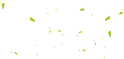 Green Leaves - background - nature - PNG Images