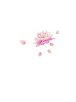 Pink Lotus Flower - peaceful - Free Download PNG