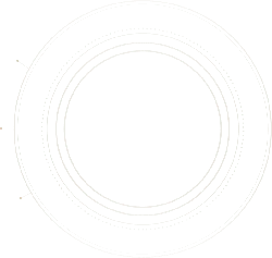 Concentric Circles Pattern - line art - High Resolution PNG