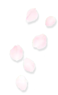 Petals - natural - Highly Rated PNG