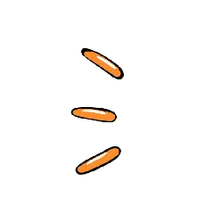 Three Carrots - nutrition - Lossless PNG