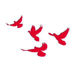 Flying Red Birds - High Quality PNG