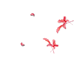 Falling Leaves - nature - red - PNG Images