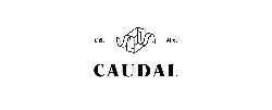 Caudal - technology - Transparent Layer PNG