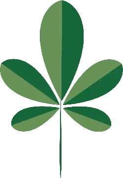 Clover - Highly Rated PNG - four leaf clover