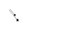 Black Cat - cat - Designer Recommended PNG - Pic 39